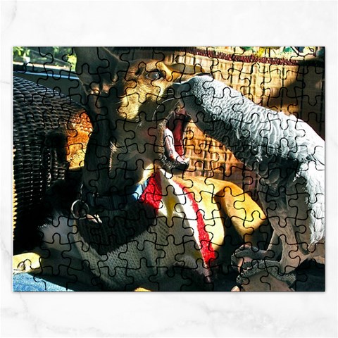 Puzzel By Pamela Sue Goforth Front