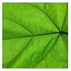 Green Frond Large Satin Scarf - 36  x 36  Square Satin Scarf