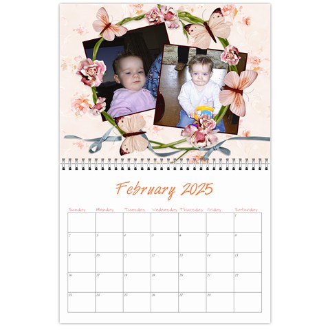 2025 Miracle Vol1 Feb 2025