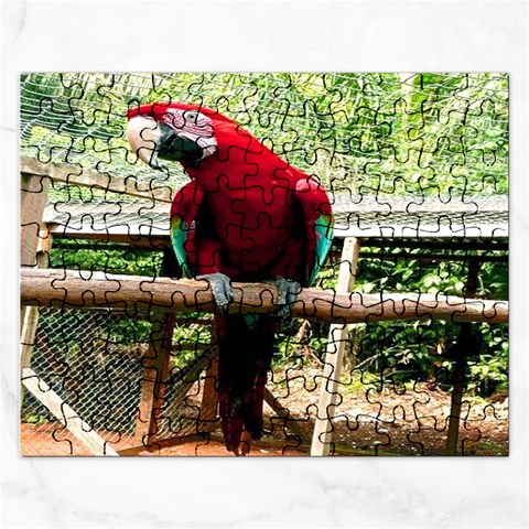 Red Macaw Parrot Puzzle By Pamela Sue Goforth Front