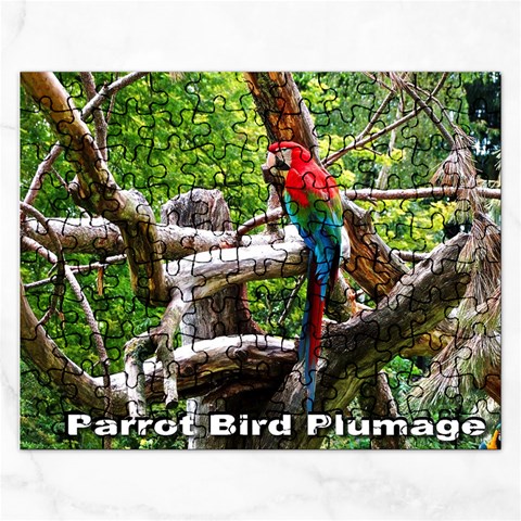 Parrot Bird Plumage  Puzzle By Pamela Sue Goforth Front