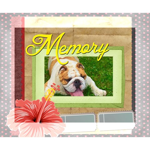 Pet By M Jan 14  x 11  x 1.5  Stretched Canvas