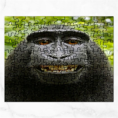 Monkey Puzzle  :   Puzzle By Pamela Sue Goforth Front