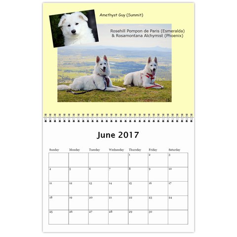 Wssdca Calendar 2017 B By Vicki Jun 2017