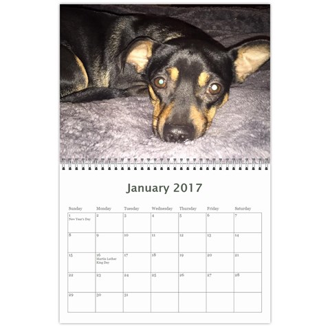 2017 Layla By Katy Jan 2017
