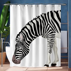 Shower Curtain 60  x 72  (Medium)
