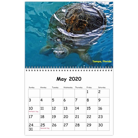Austin 2020 May 2020