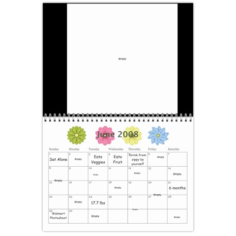 1 Year Calendar By Amanda Jun 2008