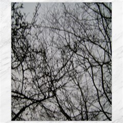 tree branches - Canvas 8  x 10 