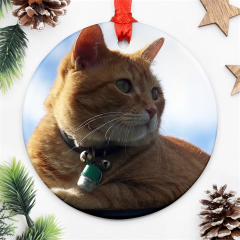 Sivan Christmas Decoration By Jay Page Front