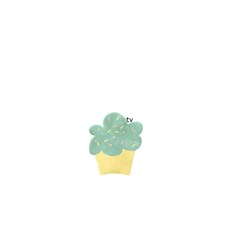 4x6 Card Template- Birthday