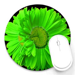 LimeGreen Painted Daisy Mouse Pad - Round Mousepad