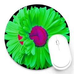 LimeGreen-Pink Painted Daisy Mouse Pad - Round Mousepad