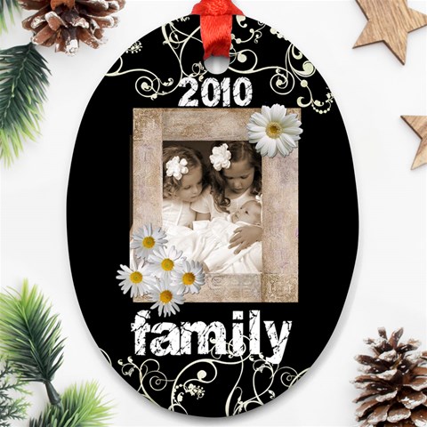 Family 2010 Oval Ornament By Catvinnat Front