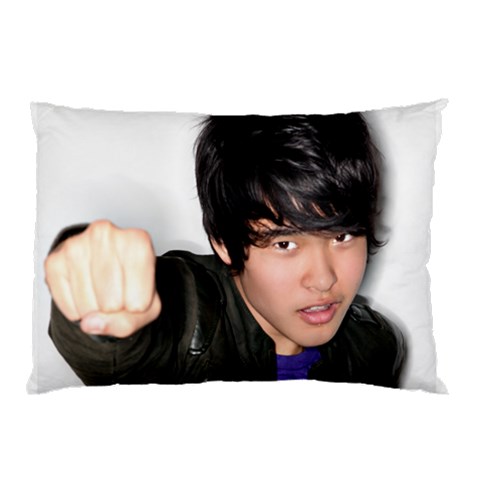 Pillow1 By Jfriersonasst 26.62 x18.9  Pillow Case