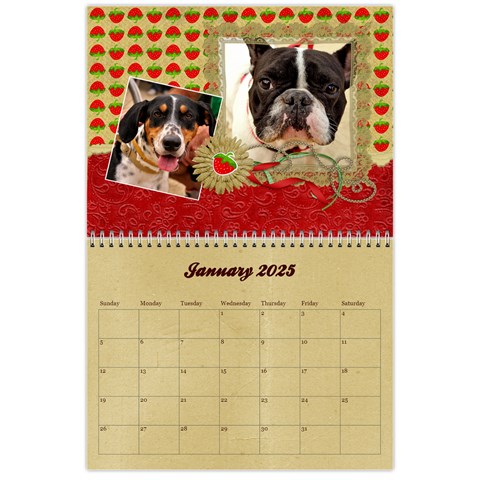 Berry Much/love Jan 2025