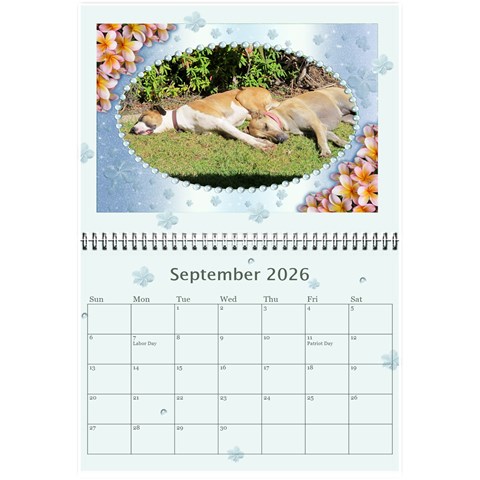 Framed With Flowers 2026 (any Year) Calendar 8 5x6 By Deborah Sep 2026