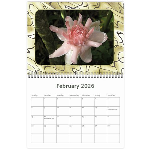 My General Purpose Picture Calendar 11x8 5 By Deborah Feb 2026