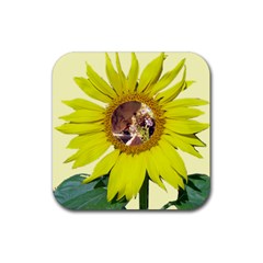 Sunflower Coaster - Rubber Coaster (Square) Sunflower Coaster - Rubber Coaster (Square)