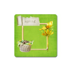 Spring Magnet
