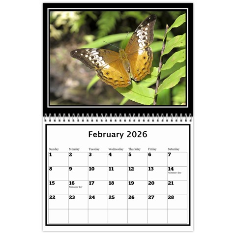 My Perfect Wall Calendar 11x8 5 2026 By Deborah Feb 2026