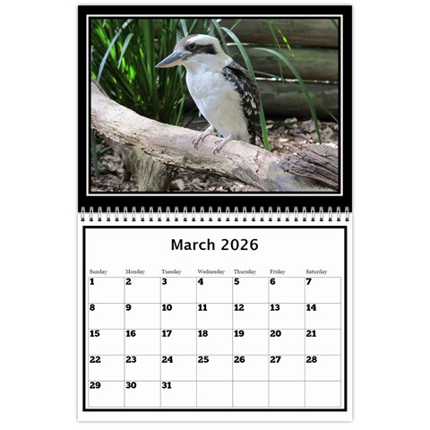 My Perfect Wall Calendar 11x8 5 2026 By Deborah Mar 2026