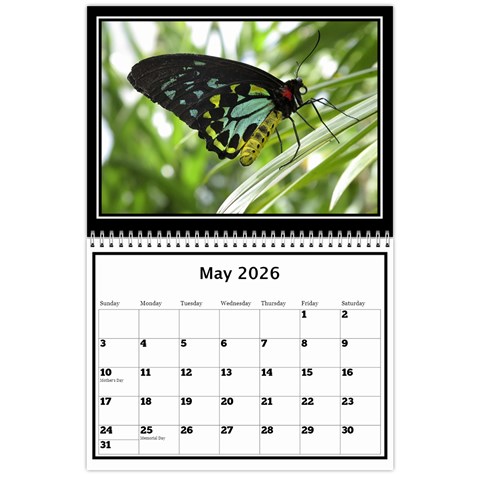 My Perfect Wall Calendar 11x8 5 2026 By Deborah May 2026