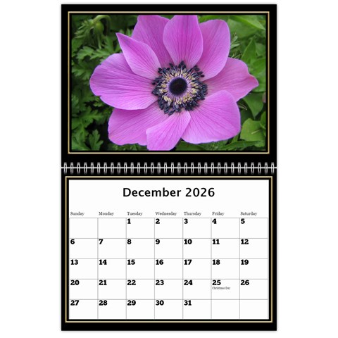 My Black And Gold  Wall Calendar 11x8 5 By Deborah Dec 2026