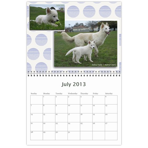 2013 Wssdca Calendar By Donna Jul 2013