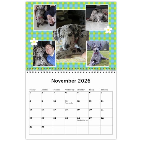 Sunny Days Wall Calendar By Deborah Nov 2026