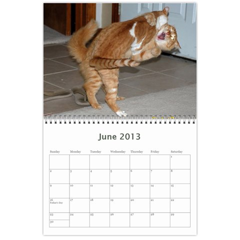 Karate Cats By Joey Kessler Jun 2013