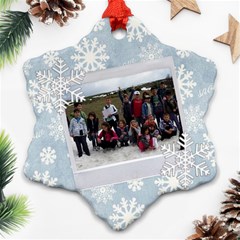 3v - Ornament (Snowflake)