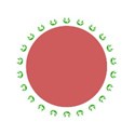 calabaza blanca-verde