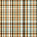 lil pumpkin_plaid