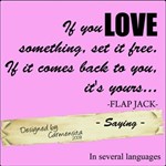 Carmensita Kit - SAYING Carmensita Kit - SAYING