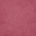 schua_mycupoftea_paper_solid2