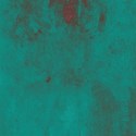 rosa-paper12-ajs
