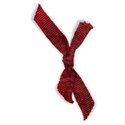 rosa-knot4-ajs