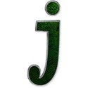 robin-j