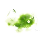 7x5 , Calendar Flower Background 7x5 , Calendar Flower Background
