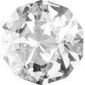 LLW_Floralessence_Jewel-1