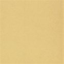 kids002_bg5