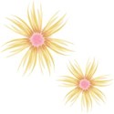 Embellishment