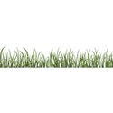 grass3