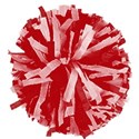 pom pom1