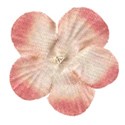DZ_February_YIP_flower