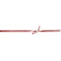 LHank_Blossom_ribbon1