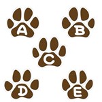 Animal Paw Print Animal Paw Print