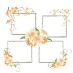 Flower Idea Frame  kits