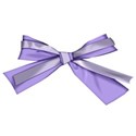 doublebow3
